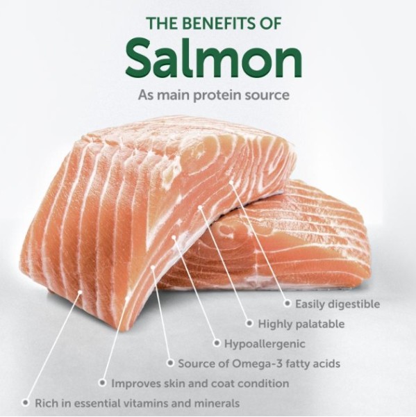 Nature’s Protection Red Coat Grain Free Salmon Adult Small and Mini Breeds - Суха храна без зърно за израснали кучета от малки и мини породи с червена или рижа козина